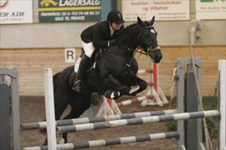 Knabstrupper Zenia - Stævne i Sønderborg Rideklub - formentlig vinter 2004/2005 billede 2