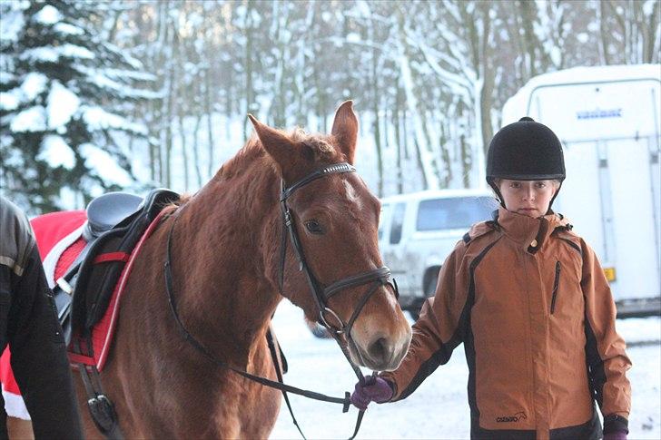 Anden særlig race Petra - Foto: Line Skou (også her på HG) billede 3