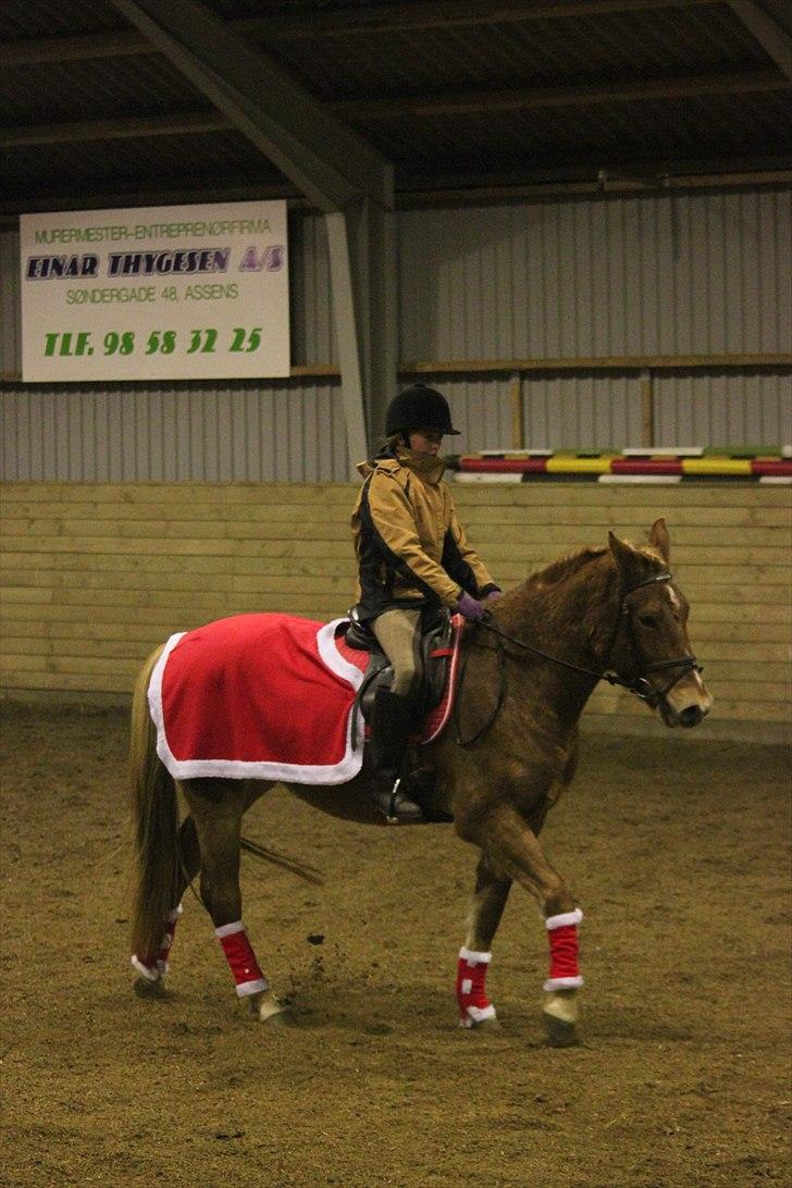 Anden særlig race Petra - Foto: Line Skou (også her på HG) billede 5
