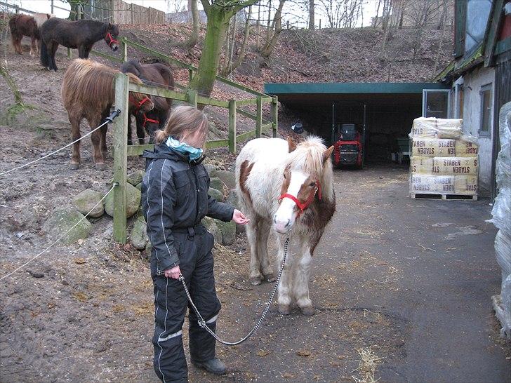 Islænder Kápa - Part billede 3