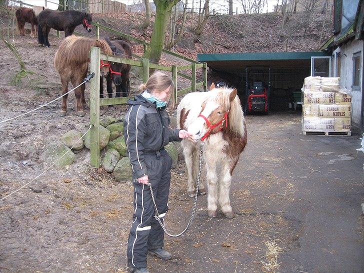 Islænder Kápa - Part billede 4