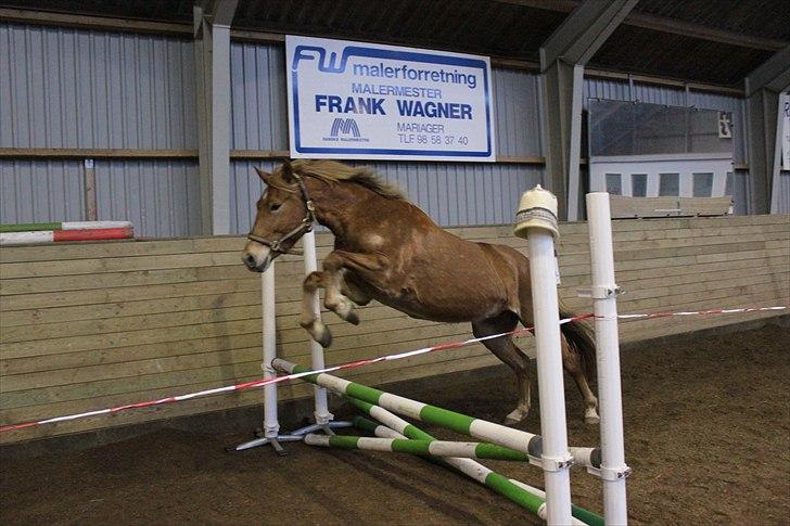 Anden særlig race Petra - Foto: Line Skou (også her på HG) billede 6