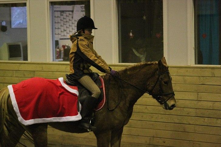 Anden særlig race Petra - Foto: Line Skou (også her på HG) billede 7
