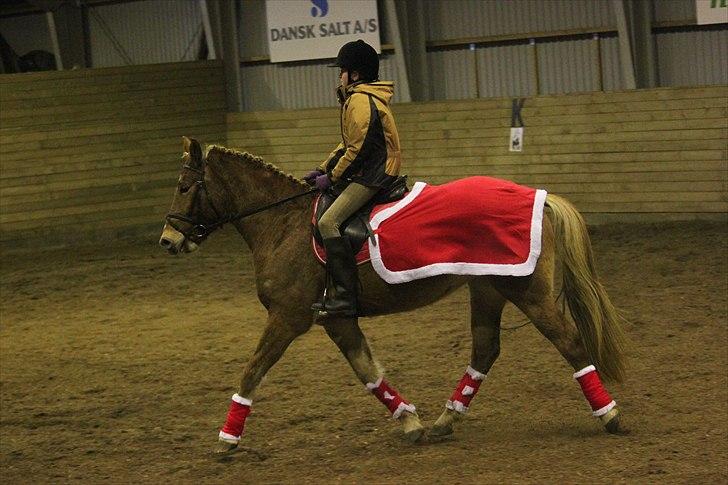 Anden særlig race Petra - Foto: Line Skou (også her på HG) billede 8