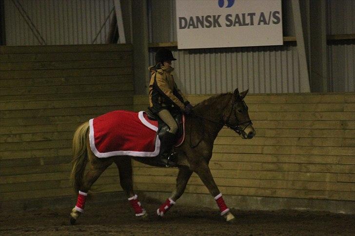 Anden særlig race Petra - Foto: Line Skou (også her på HG) billede 10