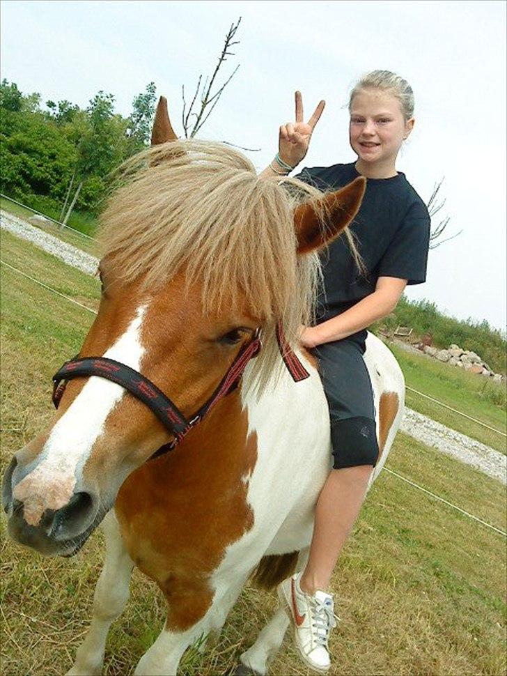 Anden særlig race " solgt" Tøsen - Velkommen til Tøsen´s profil:)<3 billede 2