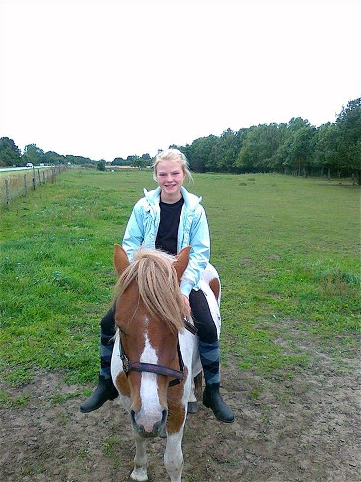 Anden særlig race " solgt" Tøsen billede 9