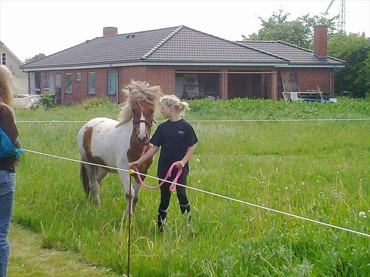 Anden særlig race " solgt" Tøsen billede 10