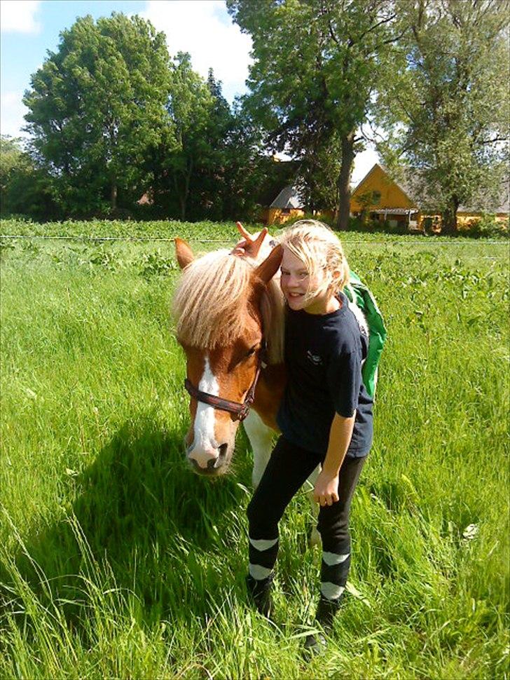 Anden særlig race " solgt" Tøsen billede 19