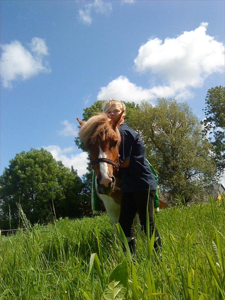 Anden særlig race " solgt" Tøsen billede 20