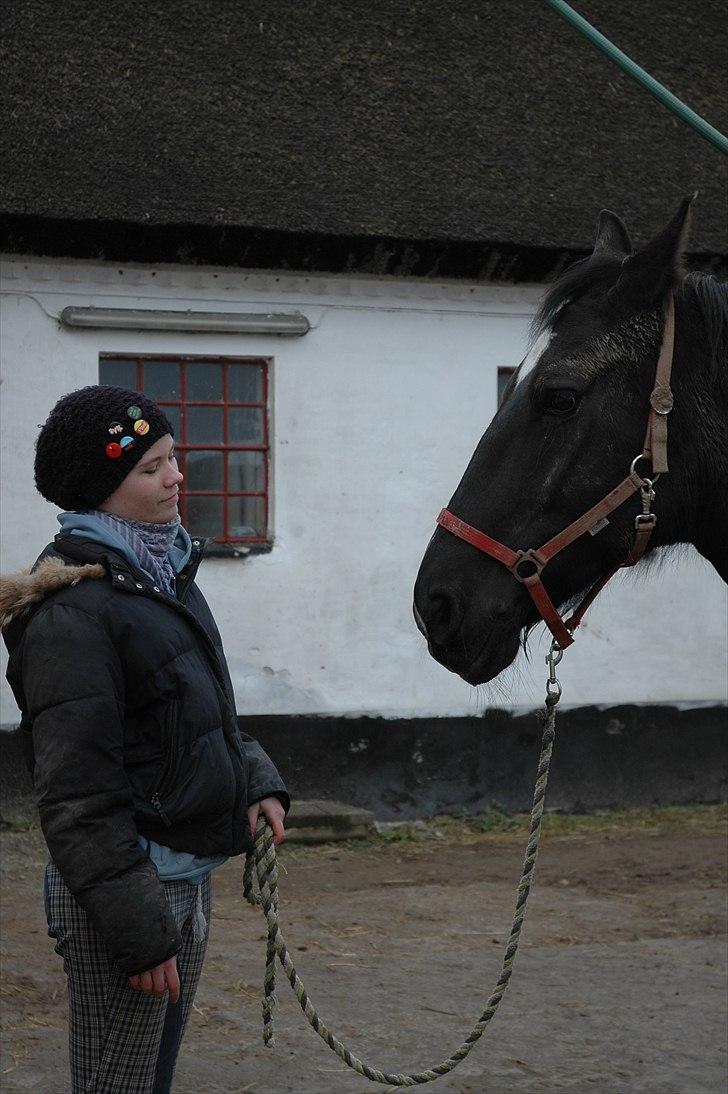 Oldenborg Larissha - so cute (´; - taget af Katrine K. Bannow. billede 2