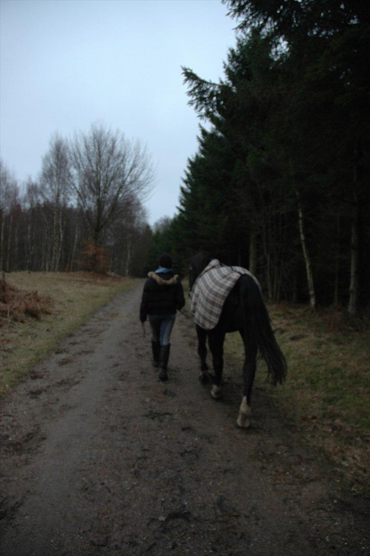 Oldenborg Larissha - vi to. du&jeg <3 - taget af Katrine K. Bannow. billede 5