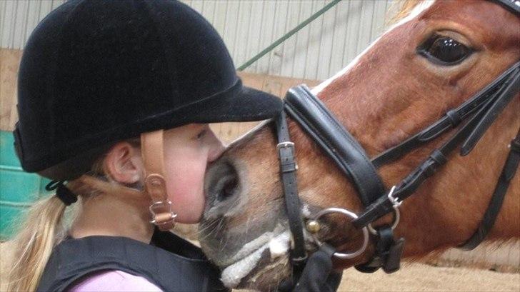 New Forest Pegasus af Bråskovgård<3 - Mikala && Pegasus = Forever<3<3 :)2011 billede 10