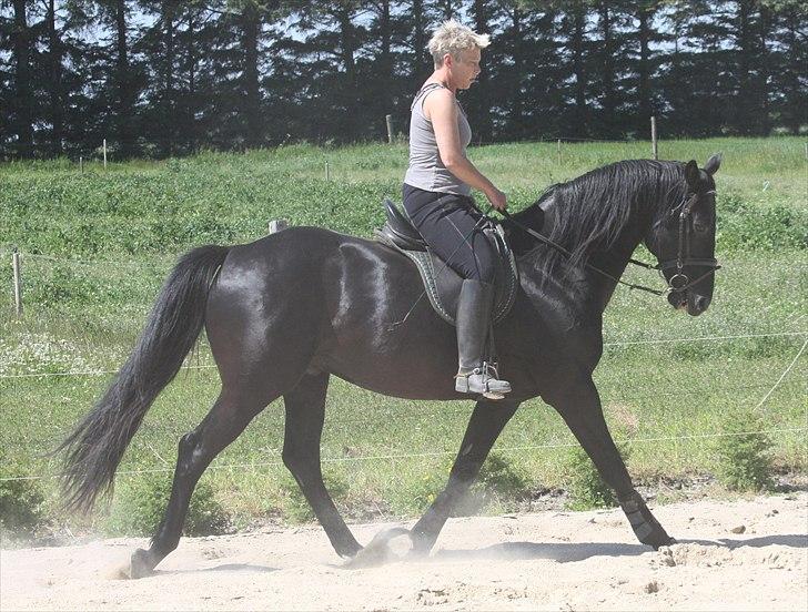 Anden særlig race Ramses R.I.P - Mig og Fedtøre billede 5