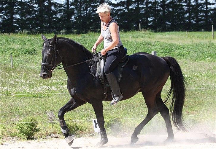 Anden særlig race Ramses R.I.P - Mig og fedtøre billede 6