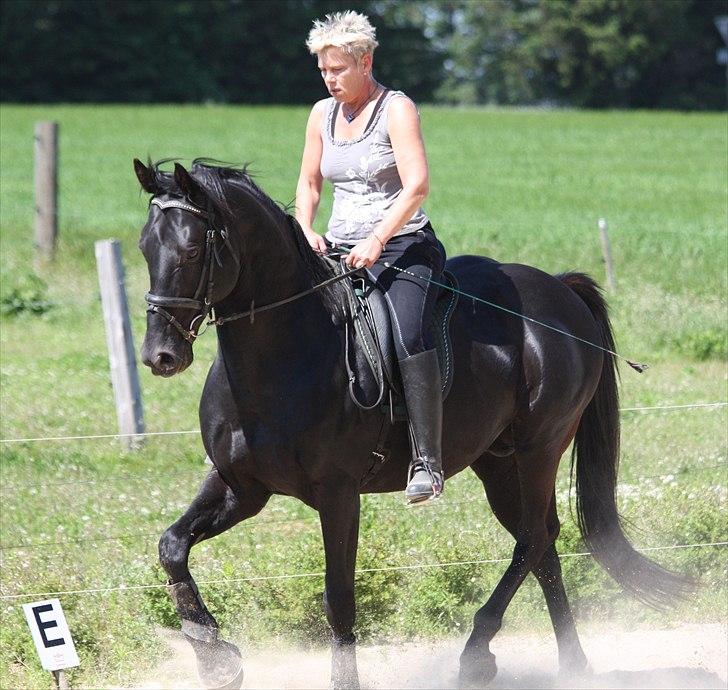 Anden særlig race Ramses R.I.P - Mig og fedtøre billede 7