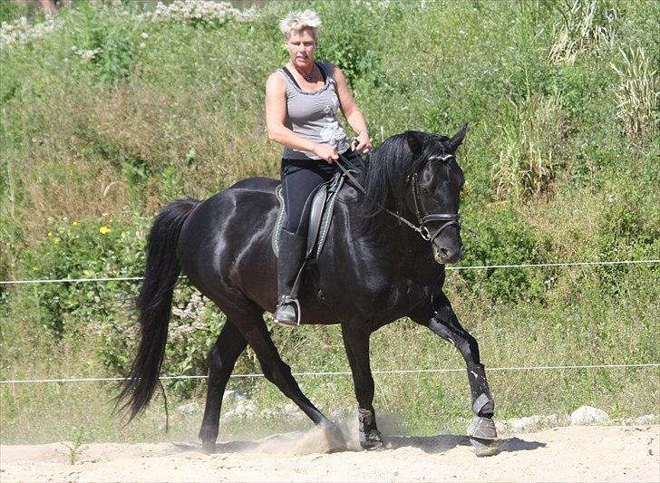 Anden særlig race Ramses R.I.P - Mig og Fedtøre  billede 8
