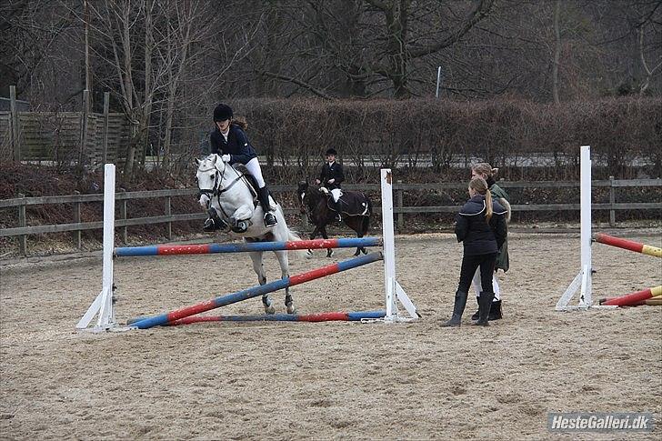 Anden særlig race Tarzan Undercover - Til stævne på MAK (100cm)

Fordi du f**king sej mulle♥ billede 7