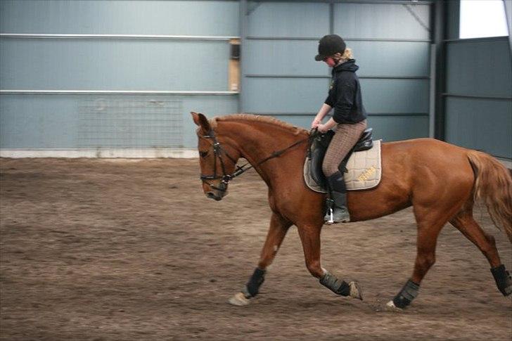 Anden særlig race Fiona (uforglemmelig <3) (solgt :( - os to sammen <3 sammen kan vi alt ;) <3 du er nummer 1 skat<3 den bedste i verden ;) billede 13
