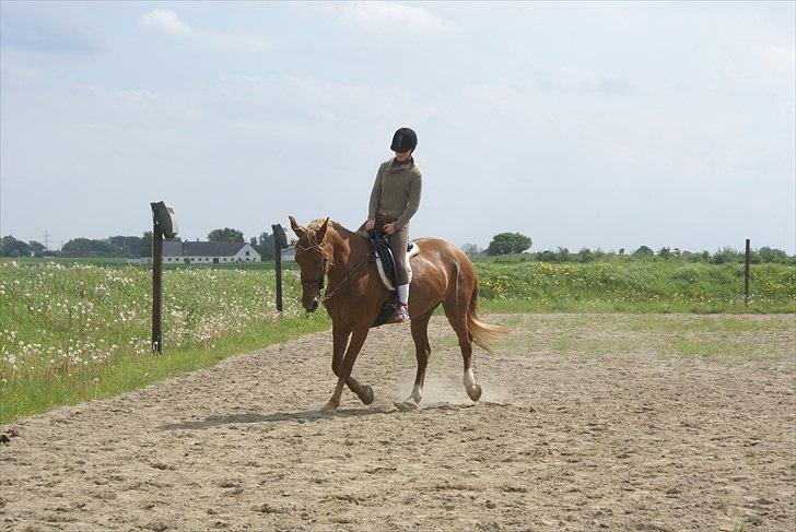 Anden særlig race Fiona (uforglemmelig <3) (solgt :( - åh du er så flot skat <3 er SÅ stolt af dig <3 billede 11