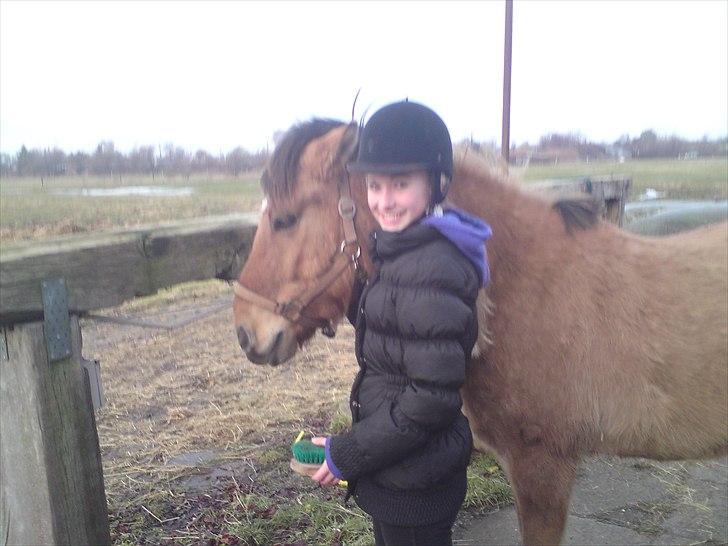 Anden særlig race Bobby - Min Halvpart Ann-Sofie og Bobby billede 1