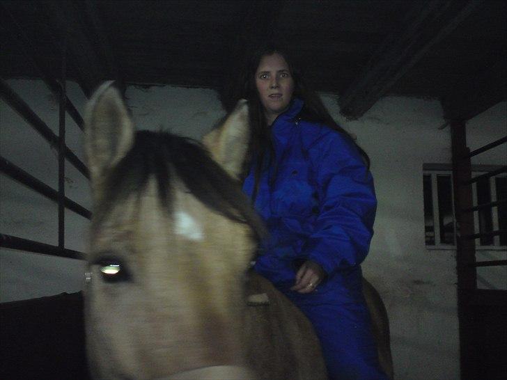 Anden særlig race Bobby - Bobby og mig billede 3