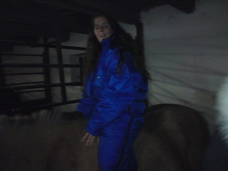 Anden særlig race Bobby - Lille mig og Bobby billede 5