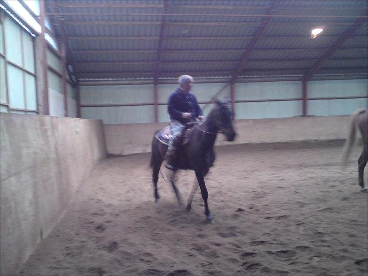 Traver Foxtrot billede 7