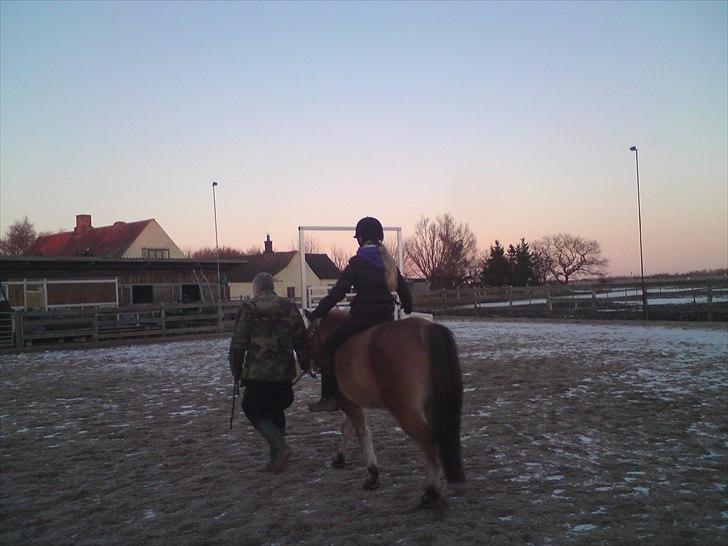 Anden særlig race Bobby - Ann-Sofie, Min mand Tom og Bobby billede 6