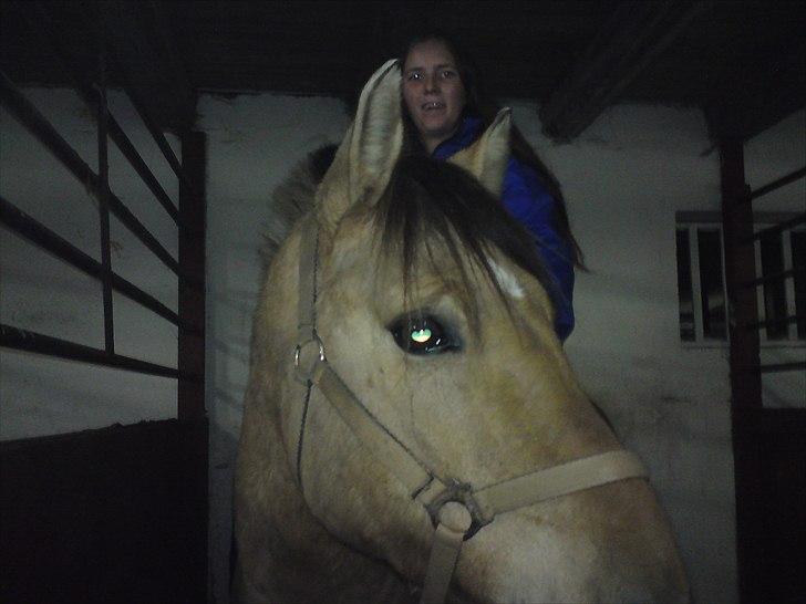 Anden særlig race Bobby - Min vidunderlige Bobby og jeg billede 8