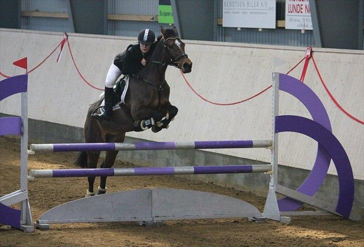 Anden særlig race Kehops De Nonville - La Herning C-stævne (: billede 12