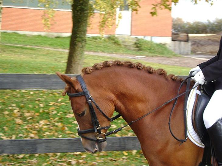 {{currentPhoto.altText}} billede {{currentPhoto.number}}