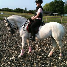 Anden særlig race Movie-Star