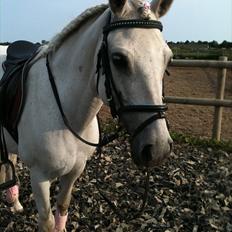 Anden særlig race Movie-Star