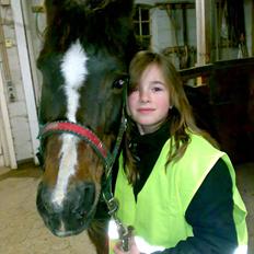 Dartmoor Gydens Amanda D 490 RIP<3 Min første c",)~