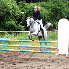 Arabisk fuldblod (OX) IS Anushka OX