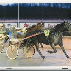 Traver Kostonia Hedebo