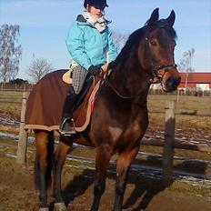 Anden særlig race Liva the Diva *R.I.P.*