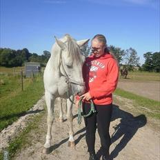 Anden særlig race Bolero (opsagt)