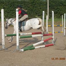 Anden særlig race Oliver<3 SOLGT:'/