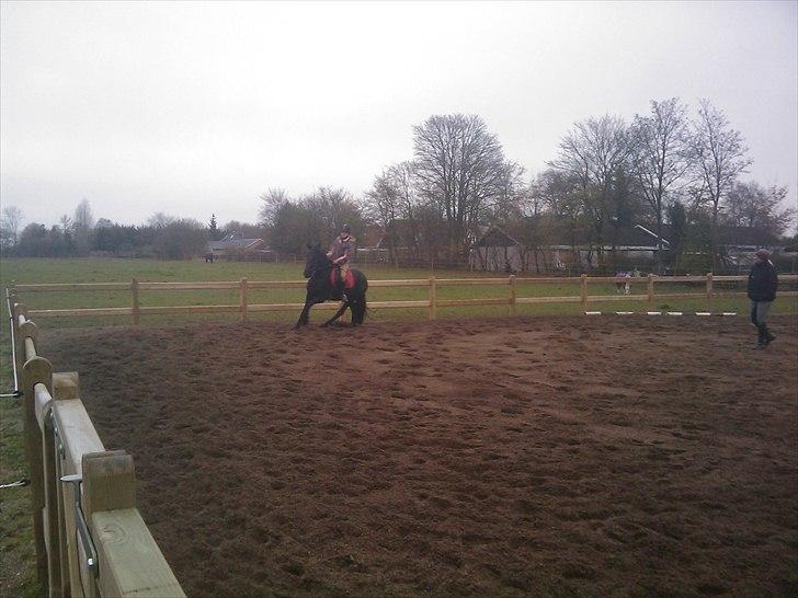 Frieser Tesse billede 19