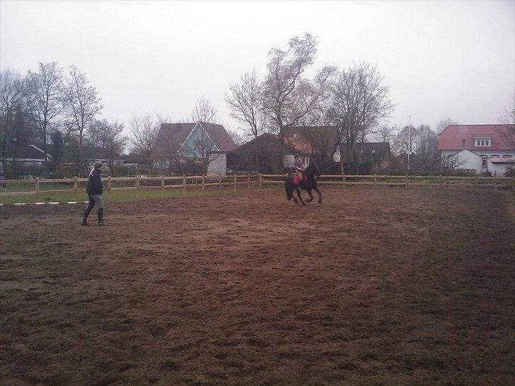 Frieser Tesse billede 20