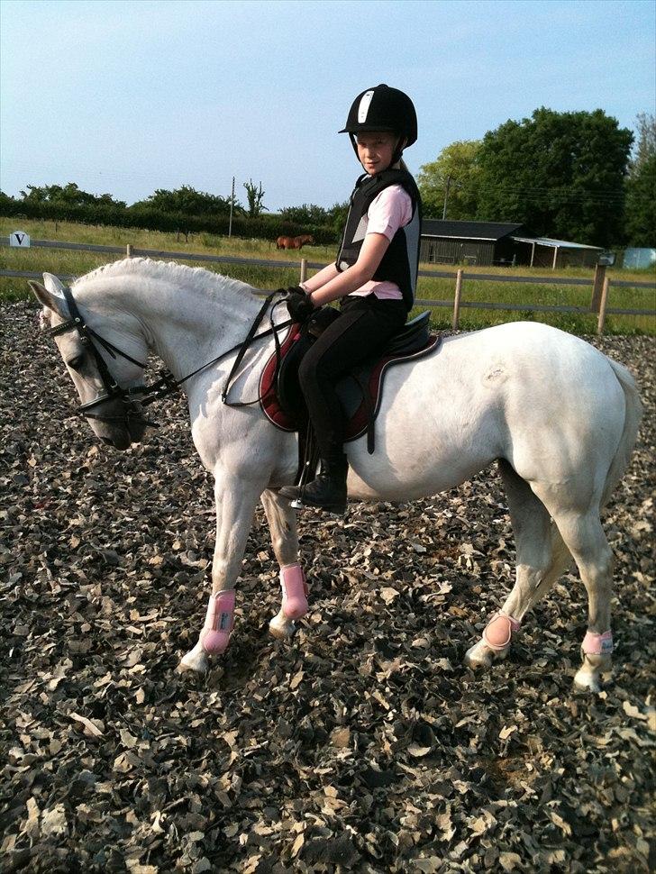 Anden særlig race Movie-Star billede 2