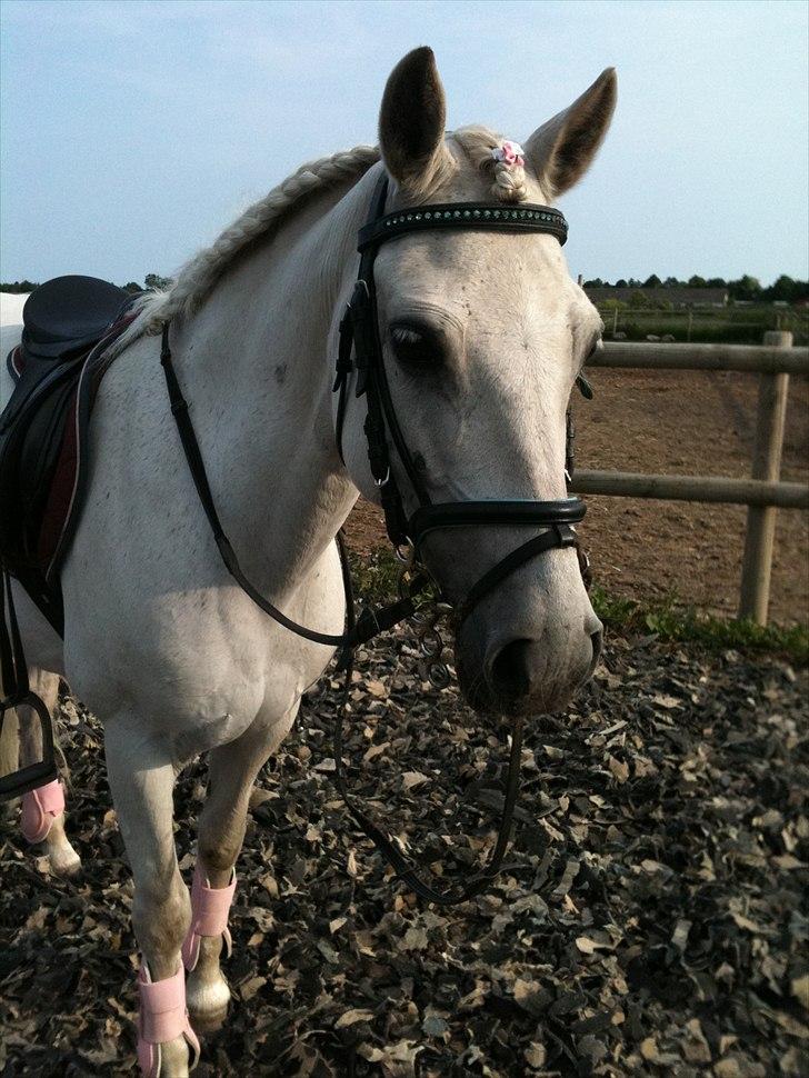 Anden særlig race Movie-Star billede 3