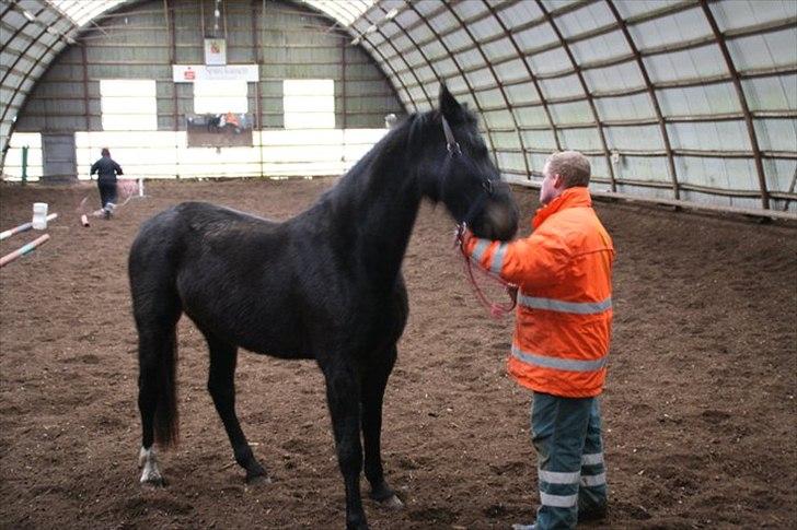 Oldenborg Jilly billede 2