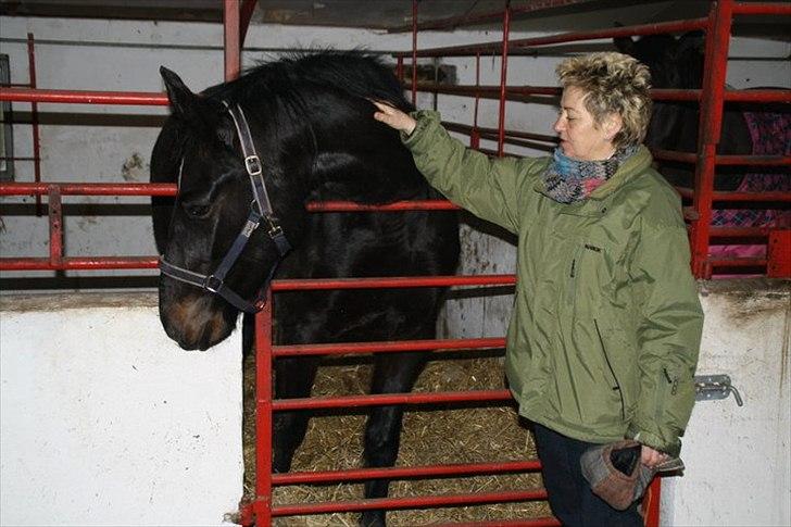 Oldenborg Jilly billede 4