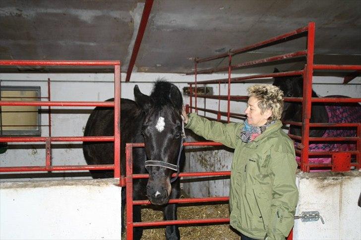 Oldenborg Jilly billede 5