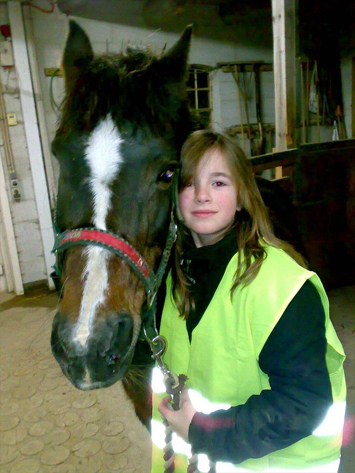 Dartmoor Gydens Amanda D 490 RIP<3 Min første c",)~ billede 2