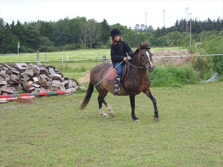 Dartmoor Gydens Amanda D 490 RIP<3 Min første c",)~ billede 7