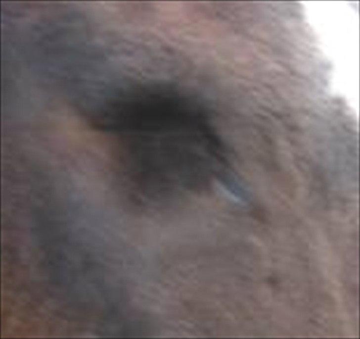 Dartmoor Gydens Amanda D 490 RIP<3 Min første c",)~ billede 13